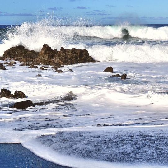 Algen und Bakterien im Meer haben einen großen Einfluss auf das Gleichgewicht von Aufnahme und Abgabe von Kohlendioxid der Atmosphäre und damit auf das weltweite Klima. Algen und Bakterien im Meer haben einen großen Einfluss auf das Gleichgewicht von Aufnahme und Abgabe von Kohlendioxid der Atmosphäre und damit auf das weltweite Klima.