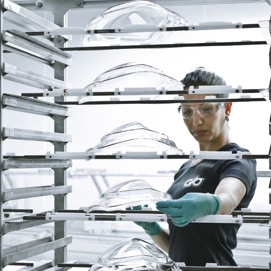 Glazingbauteile von Nanogate sind in China sehr gefragt, wie jetzt ein neuer Millionenauftrag gezeigt hat. Glazingbauteile von Nanogate sind in China sehr gefragt, wie jetzt ein neuer Millionenauftrag gezeigt hat.
