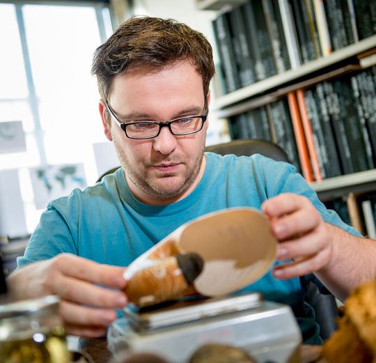 Dr. René Hoffmann erforscht die Lebensweise von ausgestorbenen Meerestieren. Dazu nutzt er moderne bildgebende Verfahren und Vergleiche mit heute noch lebenden verwandten Arten. Dr. René Hoffmann erforscht die Lebensweise von ausgestorbenen Meerestieren. Dazu nutzt er moderne bildgebende Verfahren und Vergleiche mit heute noch lebenden verwandten Arten.