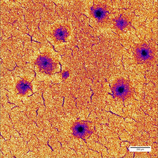 Nach 25 Schnellladezyklen zeigt die Mangan-Verteilung in der Elektrode deutliche Löcher.
