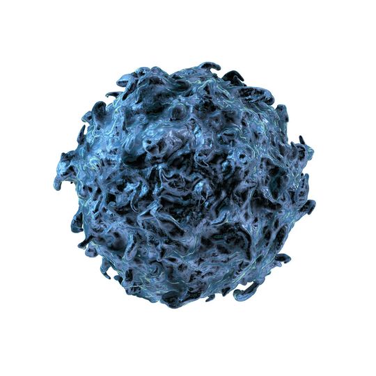 In T-Zellen sorgt eine erhöhte Konzentration von Calcium-Ionen z.B. dafür, dass die Immunzellen entzündungshemmende Stoffe freisetzen. In T-Zellen sorgt eine erhöhte Konzentration von Calcium-Ionen z.B. dafür, dass die Immunzellen entzündungshemmende Stoffe freisetzen.