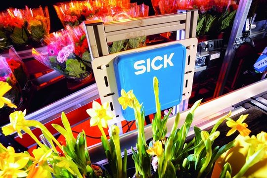In der Projektierungsphase wurde beim Floristikunternehmen Rutishauser das 13,56-MHz-System von Sick unter Praxisbedingungen mit Feuchtigkeit, wechselnden Abständen und verschieden ausgerichteten Transpondern getestet.Bild: Sick In der Projektierungsphase wurde beim Floristikunternehmen Rutishauser das 13,56-MHz-System von Sick unter Praxisbedingungen mit Feuchtigkeit, wechselnden Abständen und verschieden ausgerichteten Transpondern getestet.Bild: Sick