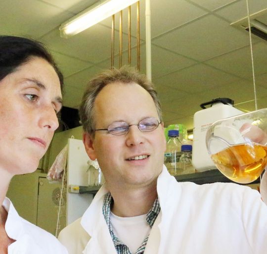 Professor Christoph Wittmann und sein Team haben ein Verfahren entwickelt, mit dem sie den Naturstoff Deoxyviolacein in ausreichender Menge in Bakterienkulturen herstellen. Professor Christoph Wittmann und sein Team haben ein Verfahren entwickelt, mit dem sie den Naturstoff Deoxyviolacein in ausreichender Menge in Bakterienkulturen herstellen.