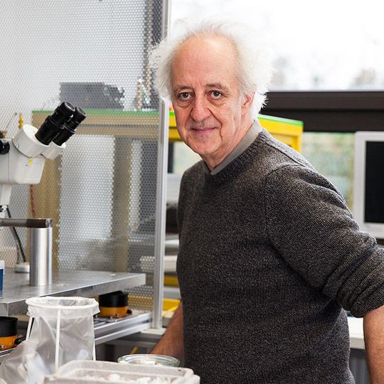 Professor Gerhard Thiel vom Fachbereich Biologie ist an der Studie beteiligt. Professor Gerhard Thiel vom Fachbereich Biologie ist an der Studie beteiligt.