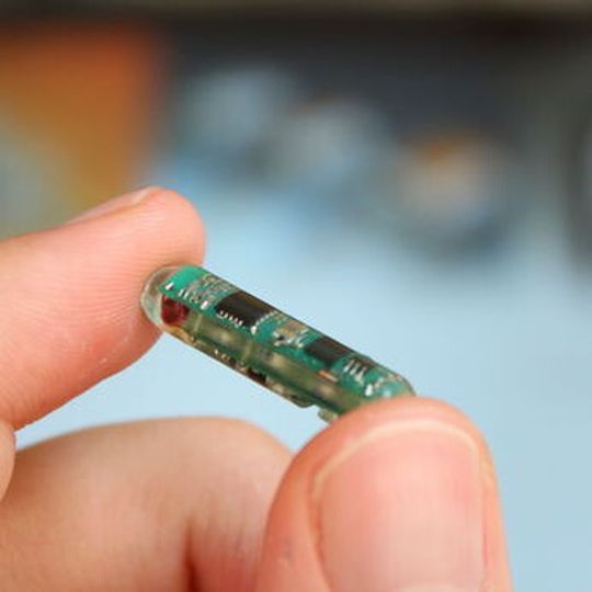 Diese schluckbare Kapsel enthält ein Funksystem für die drahtlose Datenübertragung aus dem menschlichen Körper und kann für zahlreiche medizinische Anwendungen eingesetzt werden. Diese schluckbare Kapsel enthält ein Funksystem für die drahtlose Datenübertragung aus dem menschlichen Körper und kann für zahlreiche medizinische Anwendungen eingesetzt werden.