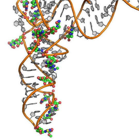 Dreidimensionales Strukturmodell einer menschlichen tRNA mit Nukleosiden (orange und grau) und chemischen Modifizierungen (farbige Kugeln). Dreidimensionales Strukturmodell einer menschlichen tRNA mit Nukleosiden (orange und grau) und chemischen Modifizierungen (farbige Kugeln).