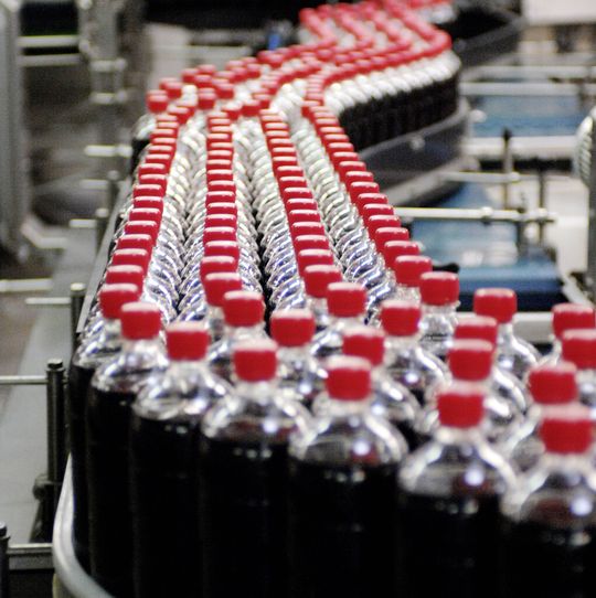 Die Flaschen sehen wie herkömmliche PET-Flaschen aus und funktionieren auch so.