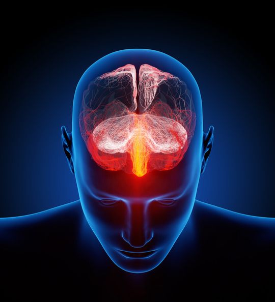 Neurowissenschaftler haben Genvarianten entdeckt, die unsere Reaktion auf Stress beeinflussen. Neurowissenschaftler haben Genvarianten entdeckt, die unsere Reaktion auf Stress beeinflussen.
