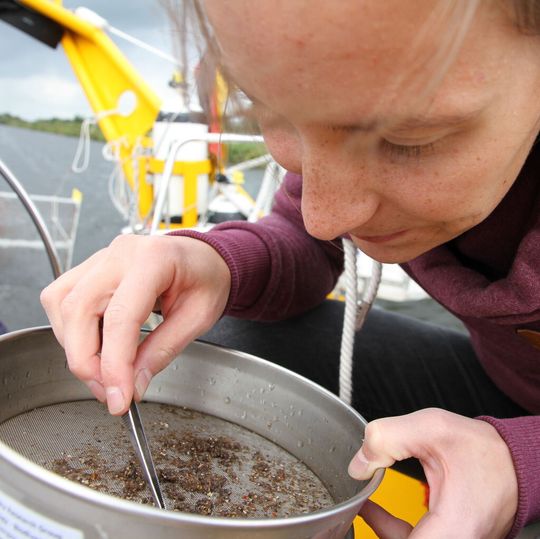 Für Forschungszwecke im Verbundprojekt NOAH fuhr Prof. Dr. habil. Gesine Witt bereits auf der Aldebaran mit ihrem Forschungsteam. Für Forschungszwecke im Verbundprojekt NOAH fuhr Prof. Dr. habil. Gesine Witt bereits auf der Aldebaran mit ihrem Forschungsteam.