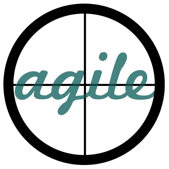 Der Scrum Master ist auch Enabler. In dieser Rolle beseitigt er organisatorische Hindernisse und sorgt für eine Fokussierung auf wertschöpfende Tätigkeiten.