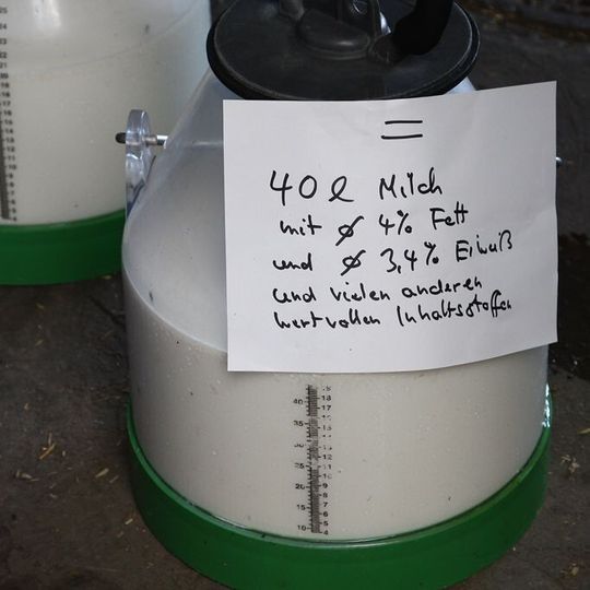 Universität Hohenheim entwickelt Verfahren, um den Einsatz von funktionellen Milchproteinen für die Lebensmittelproduktion zu erleichtern. Universität Hohenheim entwickelt Verfahren, um den Einsatz von funktionellen Milchproteinen für die Lebensmittelproduktion zu erleichtern.