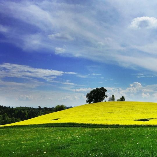 Die größte Lävulinsäure-Prodzuktion der Welt im italienischen Caserta nimmt Fahrt auf. Das Besondere: Die Chemikalie wird komplett aus Biomasse gewonnen. Die größte Lävulinsäure-Prodzuktion der Welt im italienischen Caserta nimmt Fahrt auf. Das Besondere: Die Chemikalie wird komplett aus Biomasse gewonnen.