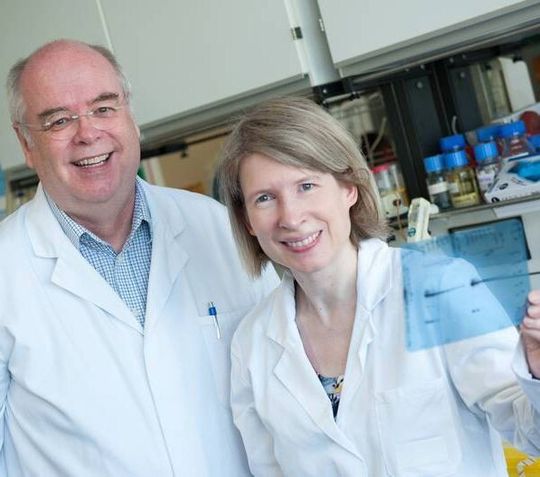 Prof. Peter Gierschik, Leiter des Ulmer Instituts für Pharmakologie und Toxikologie, und Dr. Claudia Walliser haben die Funktion des Rac-Proteins aufgeklärt. Prof. Peter Gierschik, Leiter des Ulmer Instituts für Pharmakologie und Toxikologie, und Dr. Claudia Walliser haben die Funktion des Rac-Proteins aufgeklärt.