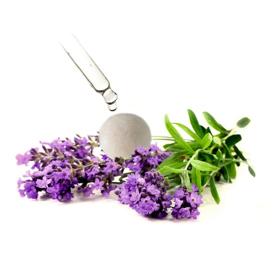Microencapsulation of essential oils by spray granulation using spouted bed technology Microencapsulation of essential oils by spray granulation using spouted bed technology