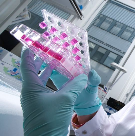 Testng new drugs at roches laboratories Testng new drugs at roches laboratories
