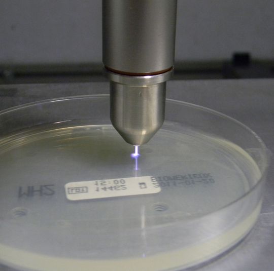 Behandlung von Nährmedium innerhalb einer Petrischale mit einem Plasmajet. Auf dem Nährmedium wurden Krankenhauskeime angesiedelt und die antimikrobiellen Eigenschaften der Plasmen nachgewiesen. Behandlung von Nährmedium innerhalb einer Petrischale mit einem Plasmajet. Auf dem Nährmedium wurden Krankenhauskeime angesiedelt und die antimikrobiellen Eigenschaften der Plasmen nachgewiesen.