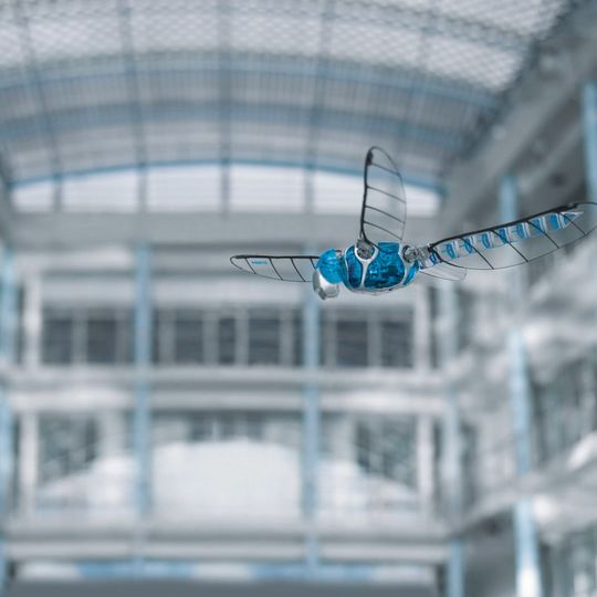 Das komplexe Flügelschlagprinzip der Libelle wurde im Bionic-Opter von Festo erstmals technisch realisiert. Das komplexe Flügelschlagprinzip der Libelle wurde im Bionic-Opter von Festo erstmals technisch realisiert.