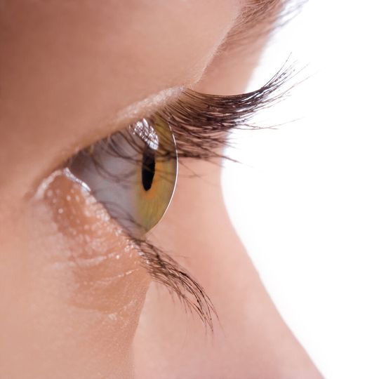 Inspired by the chemistry of the eye: Research team from Münster develops innovative catalytic chemistry process to create important carbon compounds. Inspired by the chemistry of the eye: Research team from Münster develops innovative catalytic chemistry process to create important carbon compounds.