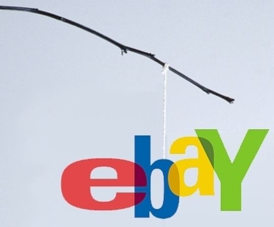 Kunden von eBay müssen derzeit auf der Hut vor Phishern sein. Kunden von eBay müssen derzeit auf der Hut vor Phishern sein.