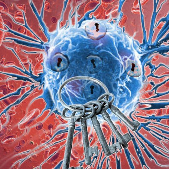 Zielgerichtete Therapien sind der Schlüssel zu erfolgreichen Strategien gegen Krebs. Krebszellen passen sich jedoch an und werden immun, daher muss auch die optimale Therapie im zeitlichen Verlauf immer wieder angepasst werden. Zielgerichtete Therapien sind der Schlüssel zu erfolgreichen Strategien gegen Krebs. Krebszellen passen sich jedoch an und werden immun, daher muss auch die optimale Therapie im zeitlichen Verlauf immer wieder angepasst werden.