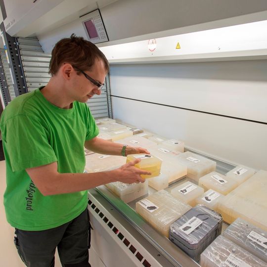 Etwa 13.000 Silikonformen für das Vakuumgussverfahren lagern im hochverdichteten Lagersystem, das in einen Betonschacht eingelassen wurde. Etwa 13.000 Silikonformen für das Vakuumgussverfahren lagern im hochverdichteten Lagersystem, das in einen Betonschacht eingelassen wurde.