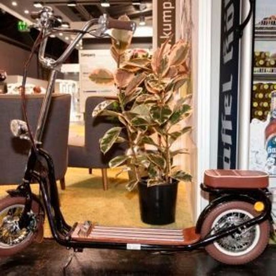 Der E-Roller von Kumpan rollt auf Wunsch elektrisch. Der E-Roller von Kumpan rollt auf Wunsch elektrisch.