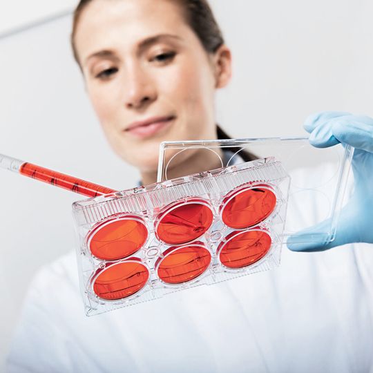 „Take Good Care of Your Cells“ ist Fokusthema von Eppendorf auf der diesjährigen Biotechnica „Take Good Care of Your Cells“ ist Fokusthema von Eppendorf auf der diesjährigen Biotechnica