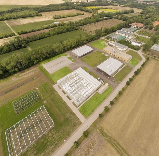 Die neuen Gebäude des Europäischen Weizenzucht-Zentrums in Gatersleben Die neuen Gebäude des Europäischen Weizenzucht-Zentrums in Gatersleben