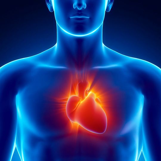 Mit einem Terahertz-Sensor lässt sich auch organisches Gewebe untersuchen, welches dabei weder verändert noch zerstört wird.