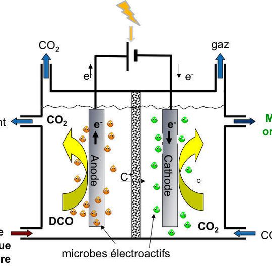 Schema der mikrobiellen Elektrosynthese: Auf der rechten und linken Seite werden elektrosensitive Mikroben mit Abfällen eingesetzt (in braun und grün). An der rechten Seite werden die wertvollen Moleküle synthetisiert. Schema der mikrobiellen Elektrosynthese: Auf der rechten und linken Seite werden elektrosensitive Mikroben mit Abfällen eingesetzt (in braun und grün). An der rechten Seite werden die wertvollen Moleküle synthetisiert.