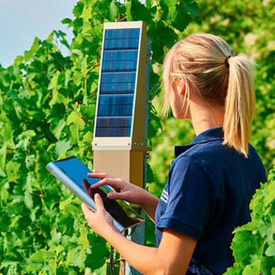 Intel IoT Smart Vineyard: Zusammen mit dem Nürnberger Technologieunternehmen MyOmega betreibt Intel das Pilotprojekt TracoVino, eine intelligente Lösung für umweltschonenden und effizienten Weinanbau.