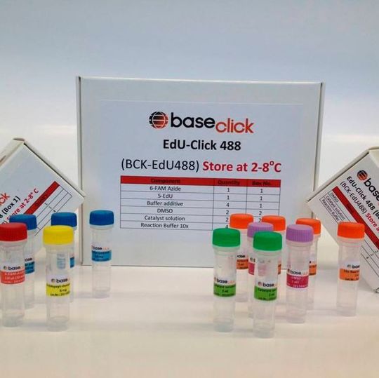 Die EdU-Zellproliferations-Kits von Baseclick werden von Sigma-Aldrich vertrieben. Die EdU-Zellproliferations-Kits von Baseclick werden von Sigma-Aldrich vertrieben.