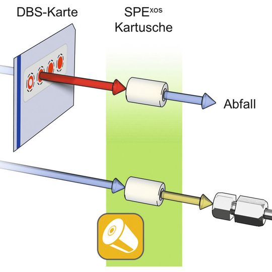 Abb. 1: Prinzip der Durchflussdesorption (flow through desorption) einer DBS-Karte. (AUsschnitt) Abb. 1: Prinzip der Durchflussdesorption (flow through desorption) einer DBS-Karte. (AUsschnitt)