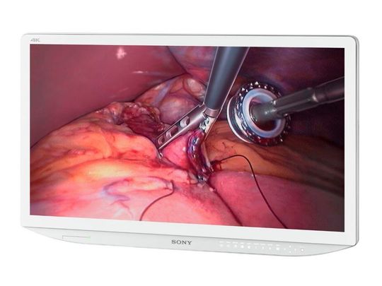 Zu den ersten kompatiblen Produkten von Sony mit der hohen Auflösung zählt der medizinische 4K-Monitor LMD-X310MD mit 31 Zoll. Zu den ersten kompatiblen Produkten von Sony mit der hohen Auflösung zählt der medizinische 4K-Monitor LMD-X310MD mit 31 Zoll.