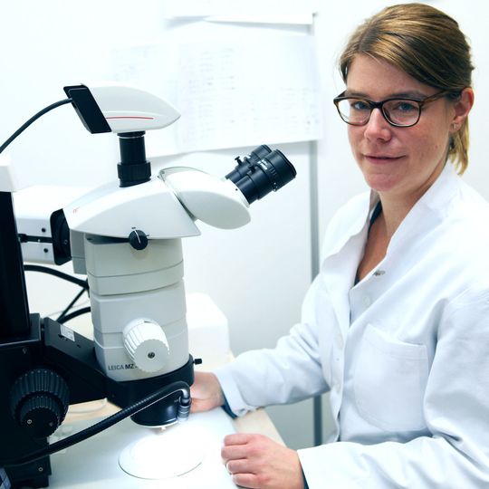 Juniorprofessorin Anika Wagner untersucht an der Universität Kiel gesundheitsfördernde Effekte von Lebensmitteln und Ernährungsmustern. Juniorprofessorin Anika Wagner untersucht an der Universität Kiel gesundheitsfördernde Effekte von Lebensmitteln und Ernährungsmustern.