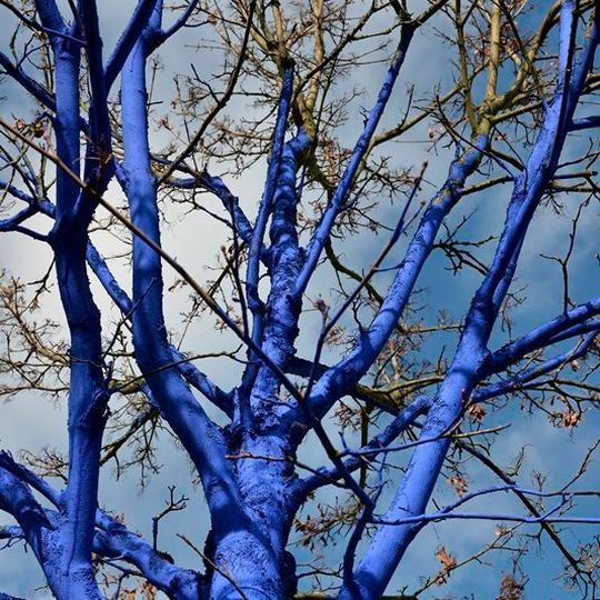 Mit Pinsel und Farbeimer – in dem natürlich nur umweltfreundliche Farbe auf Wasserbasis sein darf – erzeugt Konstantin Dimopoulos öffentliche Installationen, die in der Kunstszene auf mehreren Kontinenten bekannt sind. Mit Pinsel und Farbeimer – in dem natürlich nur umweltfreundliche Farbe auf Wasserbasis sein darf – erzeugt Konstantin Dimopoulos öffentliche Installationen, die in der Kunstszene auf mehreren Kontinenten bekannt sind.
