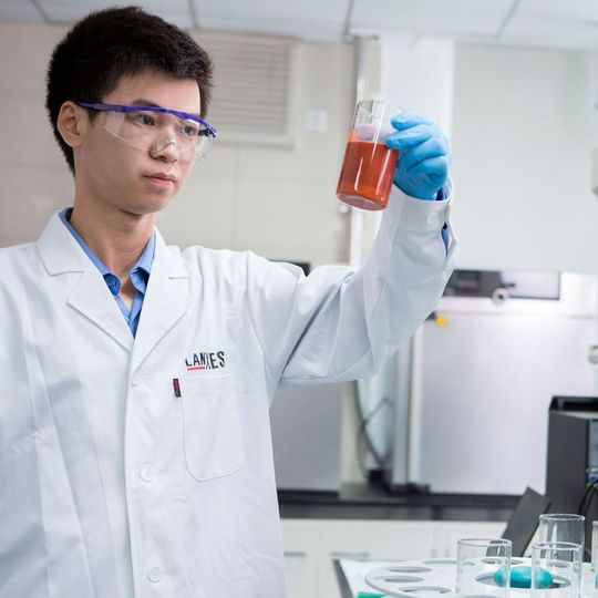 Lanxess has completed construction of a new inorganic pigments plant in Ningbo/China. In the first quarter of 2016, highly saturated red iron oxide pigments will be produced here. Lanxess has completed construction of a new inorganic pigments plant in Ningbo/China. In the first quarter of 2016, highly saturated red iron oxide pigments will be produced here.