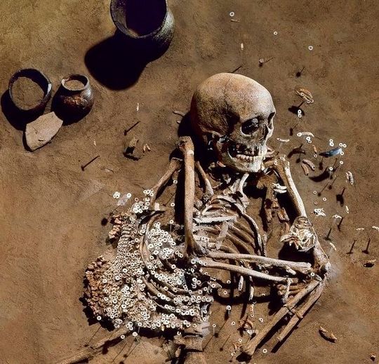 Grab eines erwachsenen Mannes aus der Salzmünder Kultur (Saalekreis, Sachsen-Anhalt) ca. 5400-5100 v. Chr. Seine genetischen Daten sind in die Studie mit eingeflossen. Grab eines erwachsenen Mannes aus der Salzmünder Kultur (Saalekreis, Sachsen-Anhalt) ca. 5400-5100 v. Chr. Seine genetischen Daten sind in die Studie mit eingeflossen.