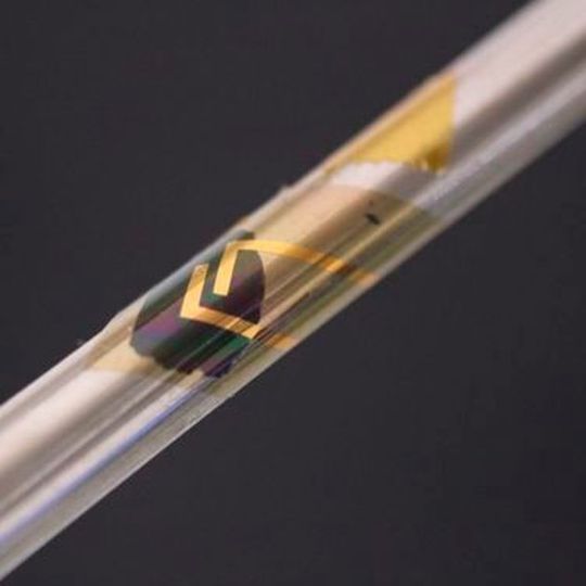 Der gedruckte Sensor so dünn und flexible, dass er um einen Bleistift gewickelt werden kann. Er lässt sich auch an andere Formen anpassen. Die Leistungsfähigkeit ist vom Biegen größtenteils unbeeinflusst.