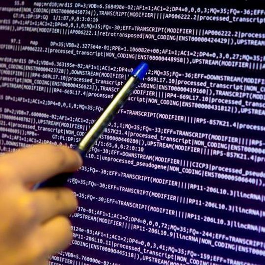 Mit einem Sequenzierungsdatensatz als „Goldstandard“ und Richtlinien zur bioinformatischen Auswertung wollen Forscher weltweit einheitliche Standards bei der Suche nach krebsrelevanten Mutationen schaffen. Mit einem Sequenzierungsdatensatz als „Goldstandard“ und Richtlinien zur bioinformatischen Auswertung wollen Forscher weltweit einheitliche Standards bei der Suche nach krebsrelevanten Mutationen schaffen.