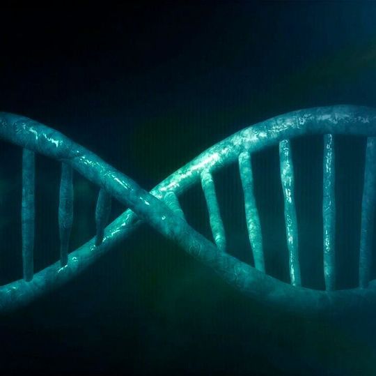 Neandertaler-Gene stärkten das Immunsystem moderner Menschen Neandertaler-Gene stärkten das Immunsystem moderner Menschen