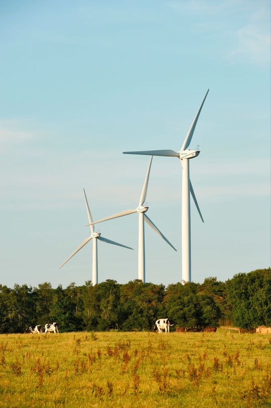 Mit einer Rotorfläche von 5.281 m² erzielt die 2,05-MW-Windkraftanlage vor allem an Starkwindstandorten hohe Energieerträge. Ihre Technologie basiert auf der 2002 eingeführten MM70, eine der meistgebauten Anlagen-Typen weltweit. Durch Nabenhöhen von 59 bis 80 m ist die MM82 für Standorte mit Höhenbeschränkungen nutzbar. Mit einer Rotorfläche von 5.281 m² erzielt die 2,05-MW-Windkraftanlage vor allem an Starkwindstandorten hohe Energieerträge. Ihre Technologie basiert auf der 2002 eingeführten MM70, eine der meistgebauten Anlagen-Typen weltweit. Durch Nabenhöhen von 59 bis 80 m ist die MM82 für Standorte mit Höhenbeschränkungen nutzbar.