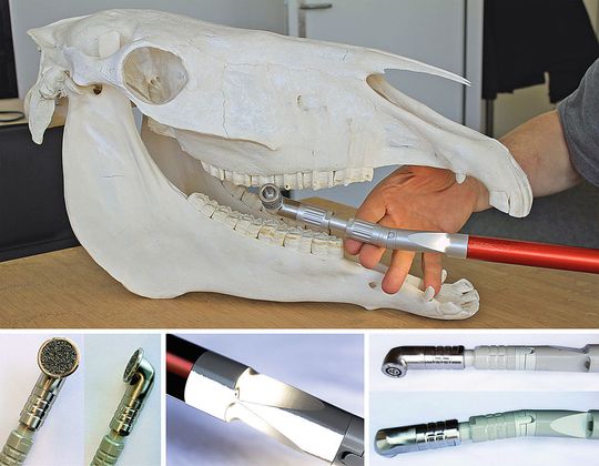 Funktionale Zahnpflege: Das neue Gerät ist schlank und handlich (oben). Sein Winkelkopf mit schnell auswechselbarem Werkzeug kann in 90°-Schritten verstellt werden (li), es verfügt über eine integrierte Beleuchtung (mi) und sein Knickgelenk (re) erleichtert das Arbeiten insbesondere im Bereich der hinteren Backenzähne. Funktionale Zahnpflege: Das neue Gerät ist schlank und handlich (oben). Sein Winkelkopf mit schnell auswechselbarem Werkzeug kann in 90°-Schritten verstellt werden (li), es verfügt über eine integrierte Beleuchtung (mi) und sein Knickgelenk (re) erleichtert das Arbeiten insbesondere im Bereich der hinteren Backenzähne.