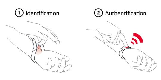 Les deux phases de l'identification des veines. Les deux phases de l'identification des veines.