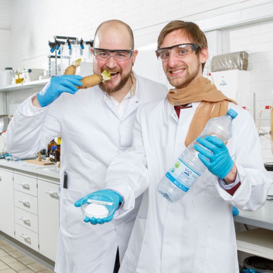 Ob Strumpf oder Plastikflasche: Wissenschaftler der Universität Hohenheim ebnen den Weg für Qualitätsprodukte aus Chicorée-Abfällen Ob Strumpf oder Plastikflasche: Wissenschaftler der Universität Hohenheim ebnen den Weg für Qualitätsprodukte aus Chicorée-Abfällen