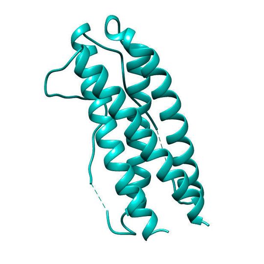Interleukin-11 ist eines der Zytokine, die im Körper Entzündungsreaktionen steuern. Interleukin-11 ist eines der Zytokine, die im Körper Entzündungsreaktionen steuern.