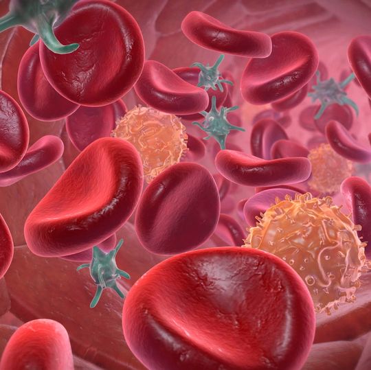 Das Protein Hämoglobin der roten Blutkörperchen beeinflusst offenbar das Zusammenklumpen einzelner Gold-Nanopartikel. Das Protein Hämoglobin der roten Blutkörperchen beeinflusst offenbar das Zusammenklumpen einzelner Gold-Nanopartikel.