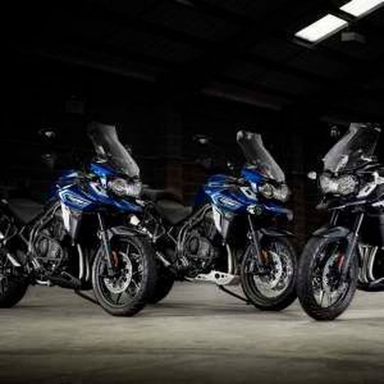 Triumphs neue Großkatze Tiger Explorer soll 2016 große Sprünge machen. Triumphs neue Großkatze Tiger Explorer soll 2016 große Sprünge machen.