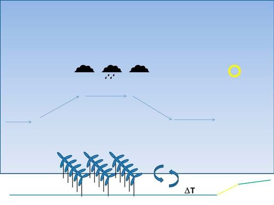 Windparks können dazu führen, dass die Luftströmung nach oben ausweicht: Kühlt die Luft ab, kann es zu vermehrter Wolken- und Niederschlagsbildung kommen. Windparks können dazu führen, dass die Luftströmung nach oben ausweicht: Kühlt die Luft ab, kann es zu vermehrter Wolken- und Niederschlagsbildung kommen.