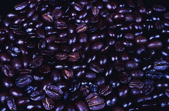 Koffein-Bestimmung in Kaffee: Auch entkoffeinierter Kaffee enthält noch Koffein. Koffein-Bestimmung in Kaffee: Auch entkoffeinierter Kaffee enthält noch Koffein.